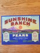 Sunshine Ranch 42 LBS