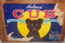 Cub