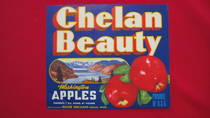 Chelan Beauty Miller Orchards