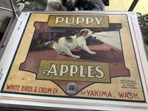 Puppy