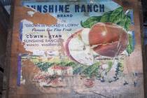 Sunshine Ranch