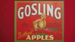Gosling