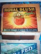 Royal Blush