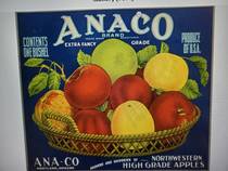 Anaco