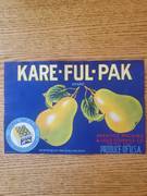 Kare-Ful-Pak Blue