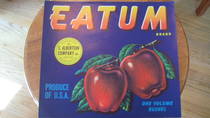 Eatum Orange Blue