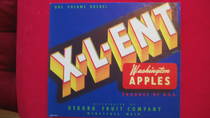 X-L-ENT
