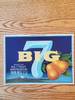 Big 7