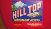 Hill Top