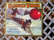 Klondike Winner
