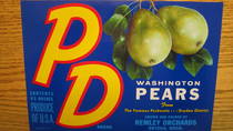PD
