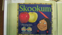Skookum Early Peshastin Fruit