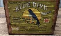 Blue Bird Green With Shield