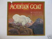 Mountain Goat red