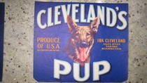 Cleveland's Pup Traung