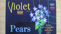Violet