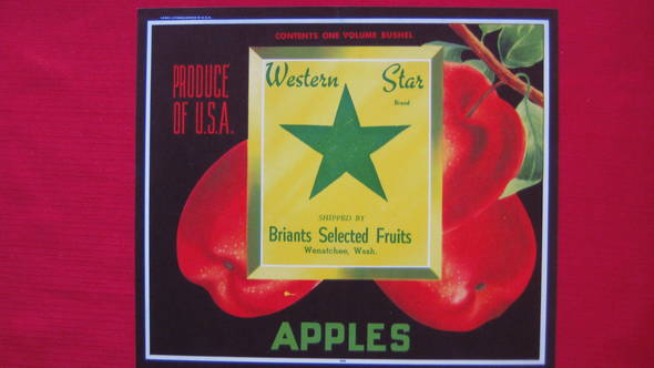 Western Star Fruit Crate Label