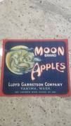 Moon oldest fcy