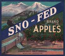 Sno Fed
