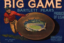 Big Game