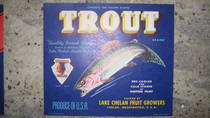 Trout FCY