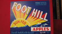 Foot Hill
