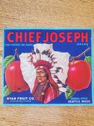 Chief Joseph  Schmidt LR