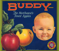 Buddy