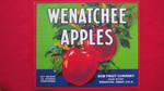 Wenatchee Apples