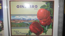 Ginsburg