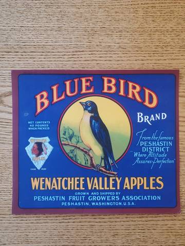 Wenoka Peshastin XF Blue Bird Fruit Crate Label