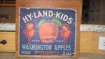 Hyland Kids Blue Combo