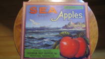 Sea