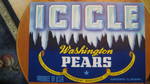 Icicle
