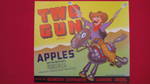 Two Gun
