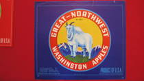 Great-Northwest