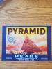 Pyramid 4/5 bushel