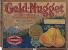 Gold Nugget Nevada County