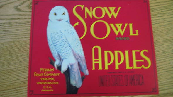 Snow Owl Red Company Fruit Crate Label