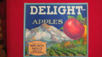 Delight