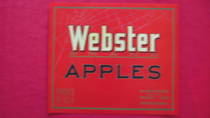 Webster