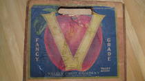 V Brand