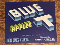 Blue T CU 6