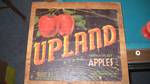 Upland