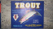 Trout Blue