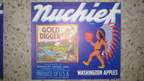 Nuchief Gold Digger
