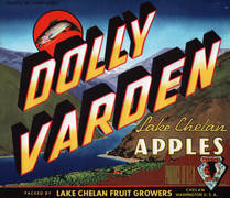Dolly Varden