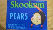 Skookum