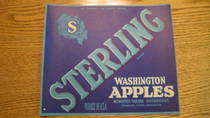 Sterling  Wen Stecher-Traung