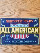 All American Pear Traung